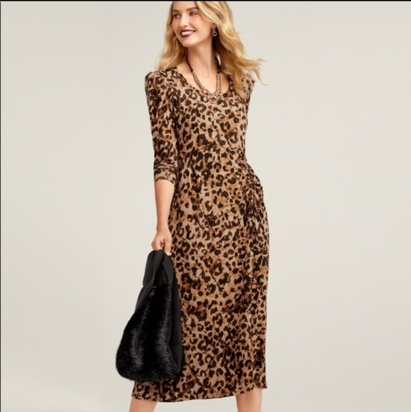 Cabi Selma Cheetah Bodice Drawstring Knit Midi Dress Office Preppy Careerwear M - Picture 2 of 12